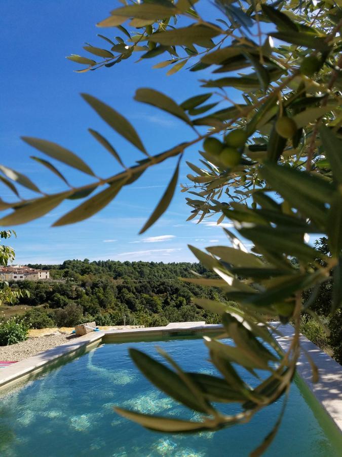 Вилла La Campagne Saint Jean Baudinard Экстерьер фото